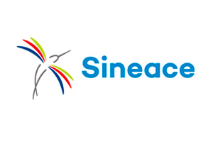 SINEASE